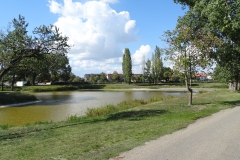 DSC01909