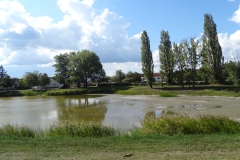 DSC01910