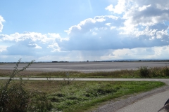 DSC01921