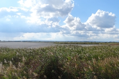DSC01923