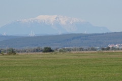 DSC01935