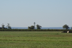 DSC01937