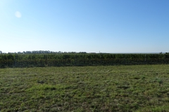 DSC01940