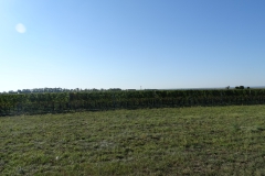 DSC01941