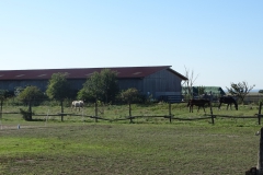 DSC01953