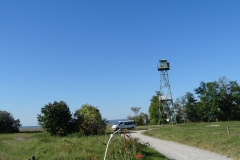 DSC01956