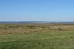 DSC01957