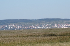DSC01958