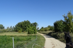 DSC01962