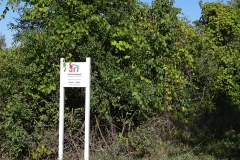 DSC01965