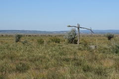 DSC01966