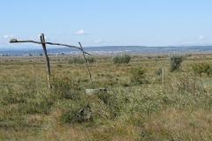 DSC01967