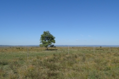 DSC01968
