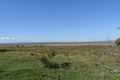 DSC01971
