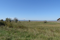 DSC01974