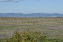 DSC01978