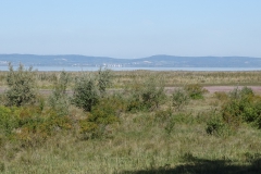 DSC01980