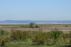 DSC01982
