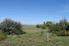 DSC01984