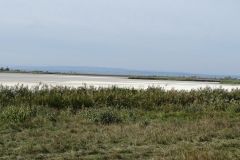 DSC02003