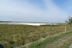 DSC02004