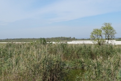DSC02007