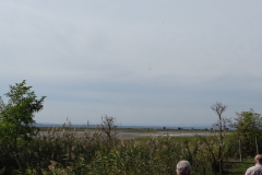 DSC02009