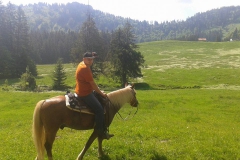 Ebenforst1