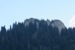 IMG_0041