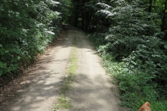 20140705_144543