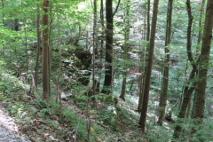 20140705_144630