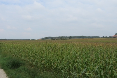 20140906_151208