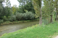 20140906_151345