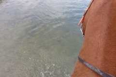 20140906_153825