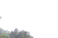 20140906_153844