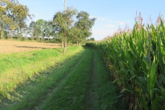 20140906_172430