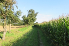 20140906_172438