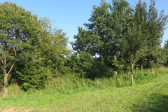 20140906_172535