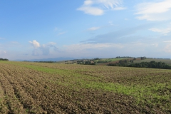 20140906_172543