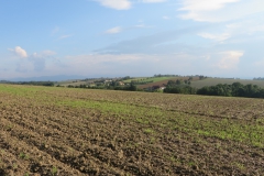20140906_172620