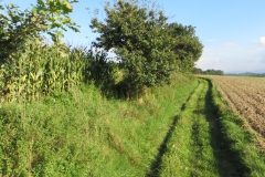 20140906_172632