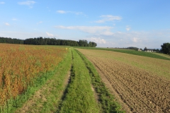 20140906_172934