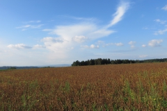 20140906_172959