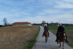 SDC10347