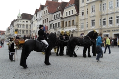 SDC10360