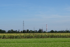 DSC01101