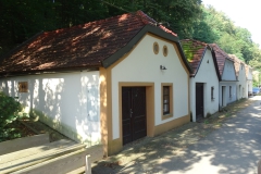 DSC01124