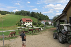 IMG_0739