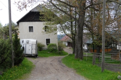 SDC10421