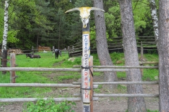 SDC10425
